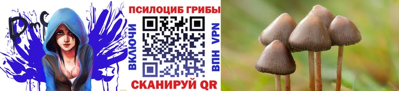 гидра ТОР где купить наркоту Дзержинск Псилоцибиновые грибы мухоморы